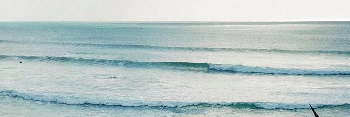 sundaybrunchsb's profile banner image