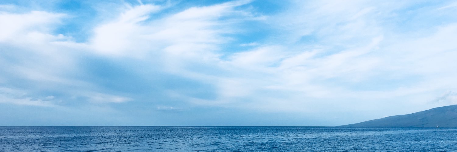 SilversidesC's profile banner image