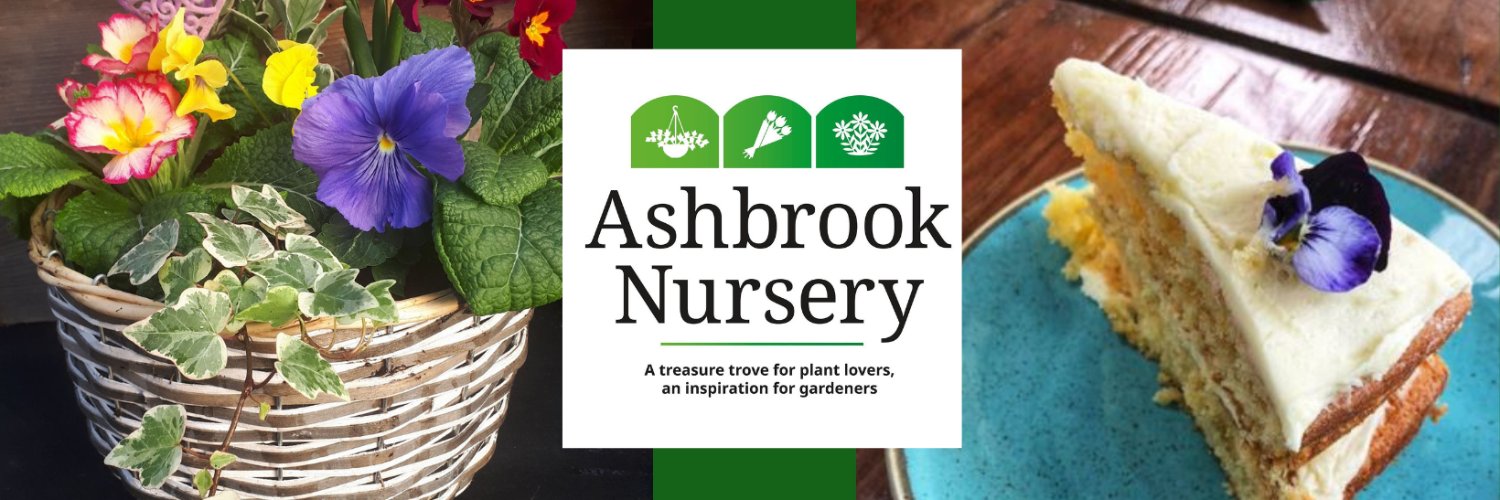 ashbrooknursery's profile banner image