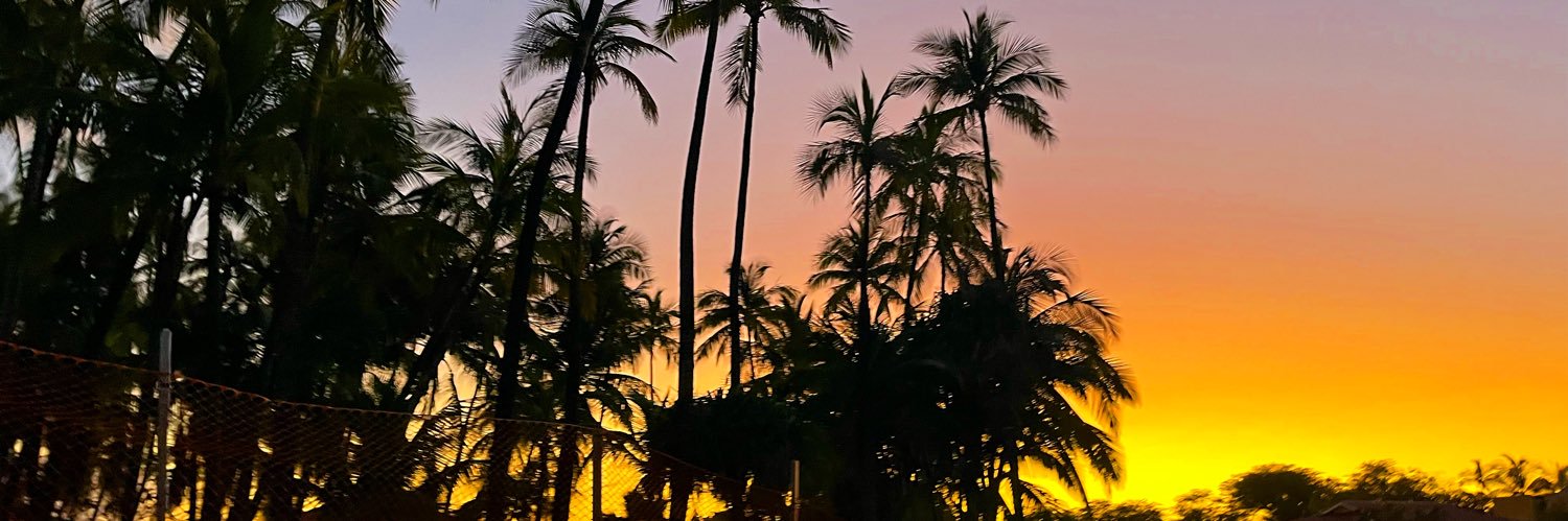 Lara Cohen 💅🏼 banner