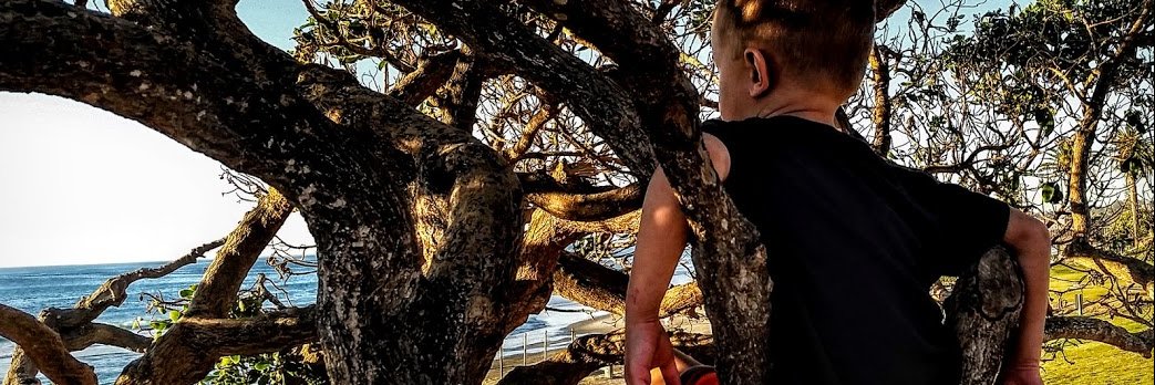 Matthew Tanner banner