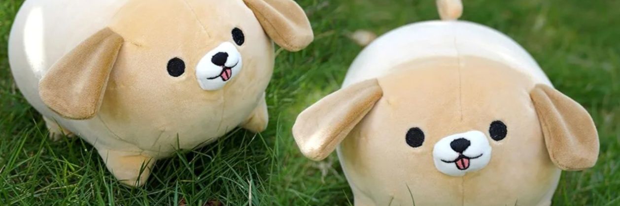 NKVDEI Coordinator ☽♀☾ banner