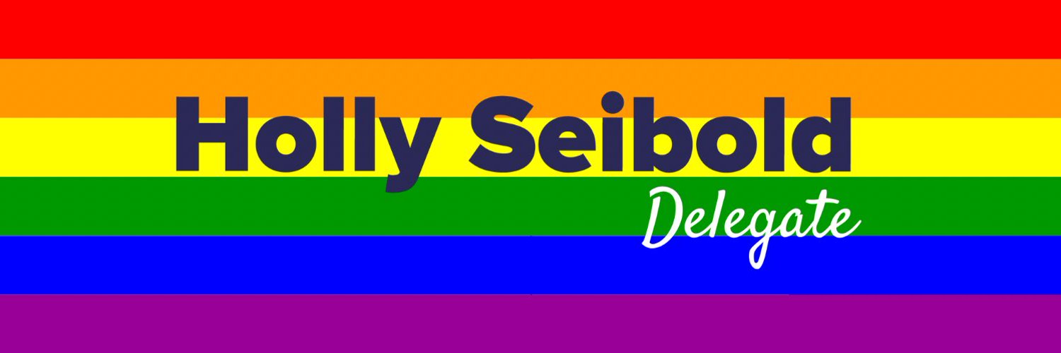 Holly Seibold Profile Banner