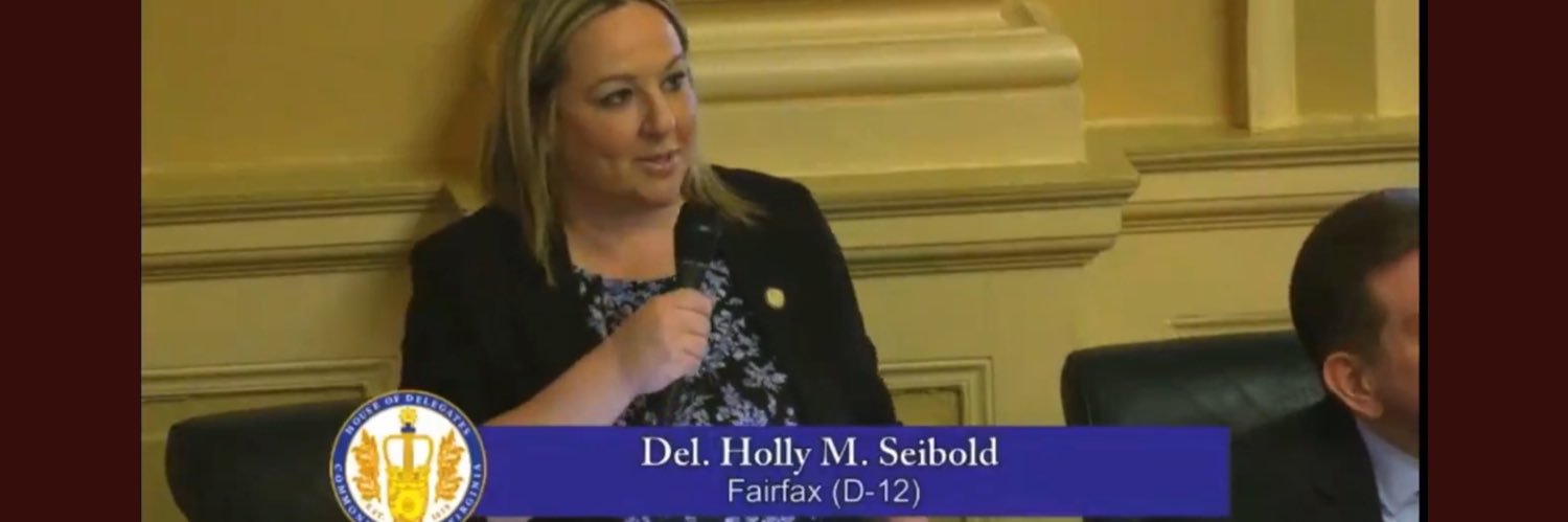 Holly Seibold's banner