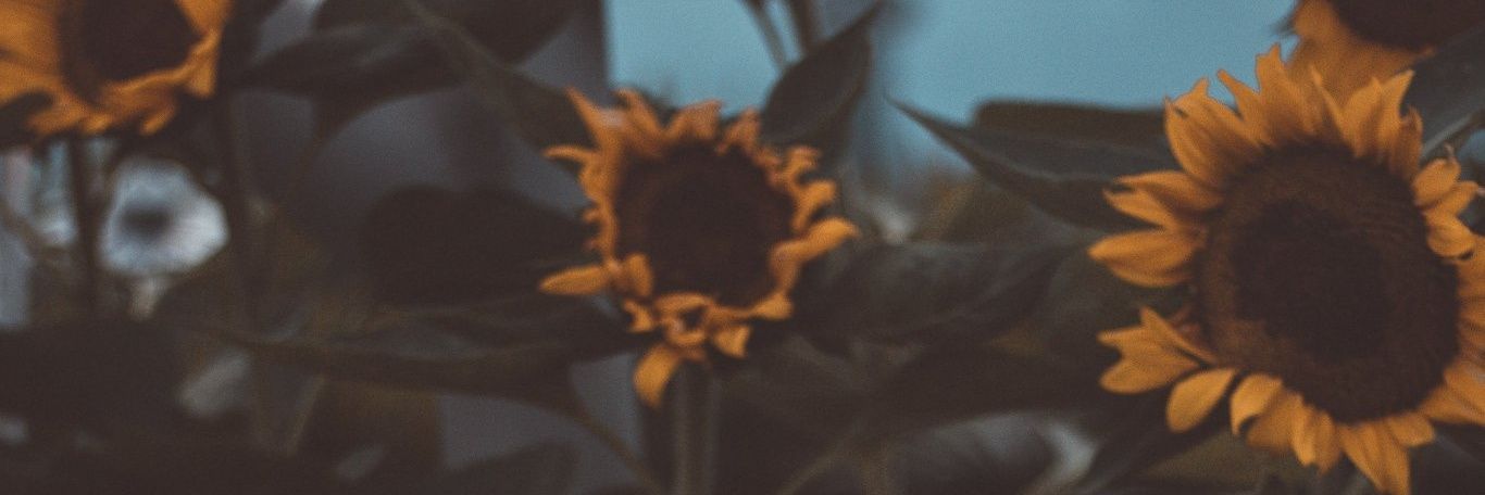 LucilaSinchi's profile banner image