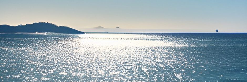 PT1239124's profile banner image