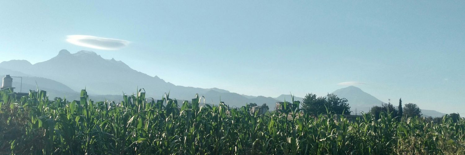 ricardobeaa's profile banner image