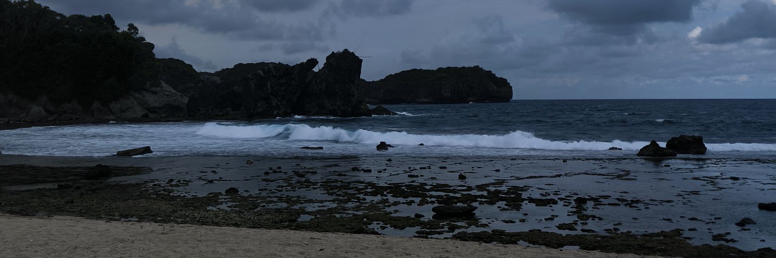 Erwin_hide banner