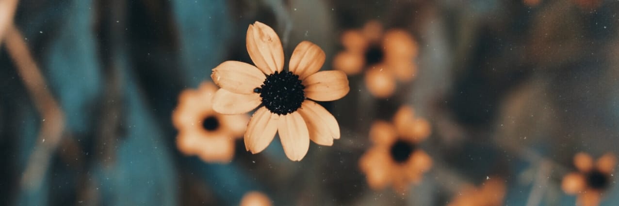 Pavezcamilaa's profile banner image