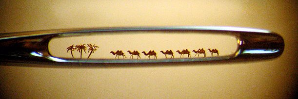 Dr Margie Cheesman banner