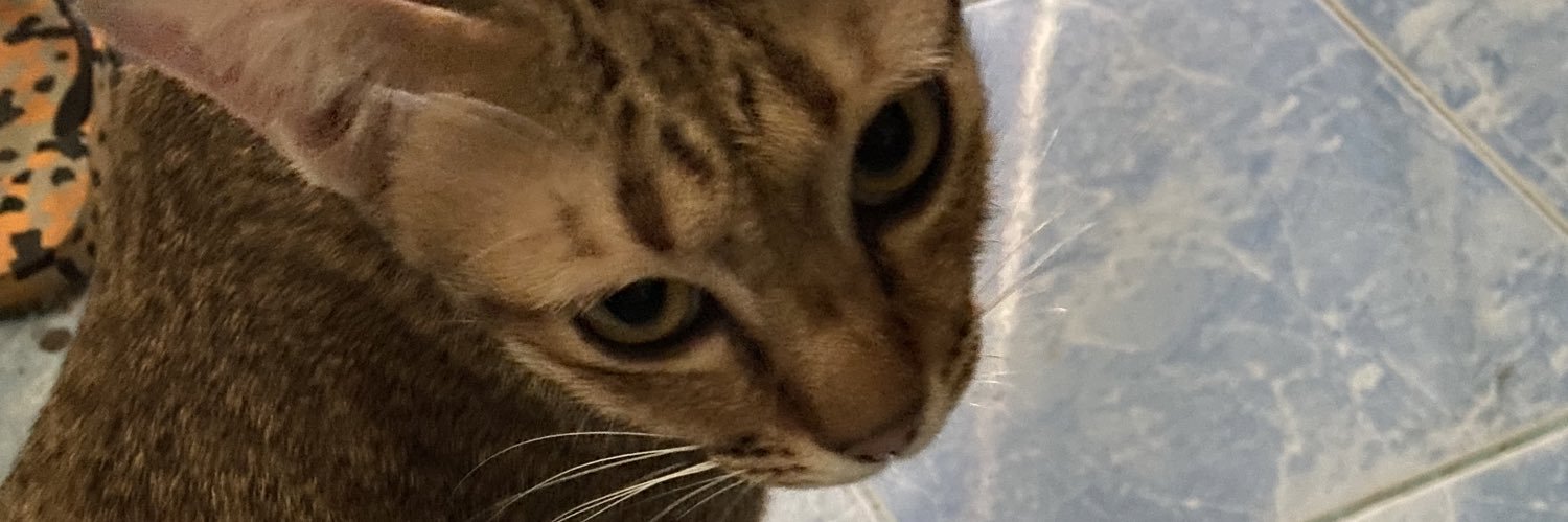 Methee Heephong banner