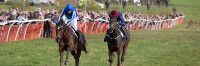 Devon & Cornwall Point-To-Point Area banner