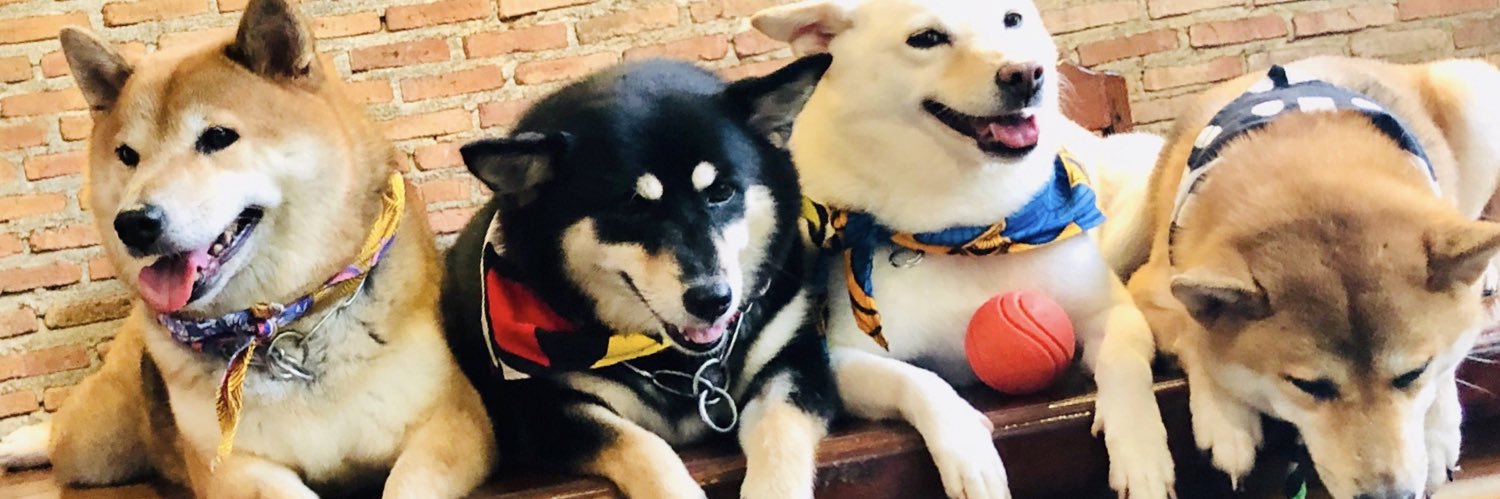 บาร์อี บีอาร์ bb = brbr :) banner