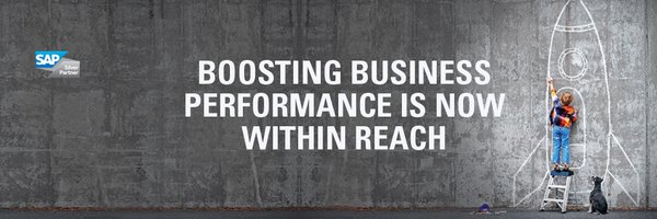 dolphincorp Profile Banner