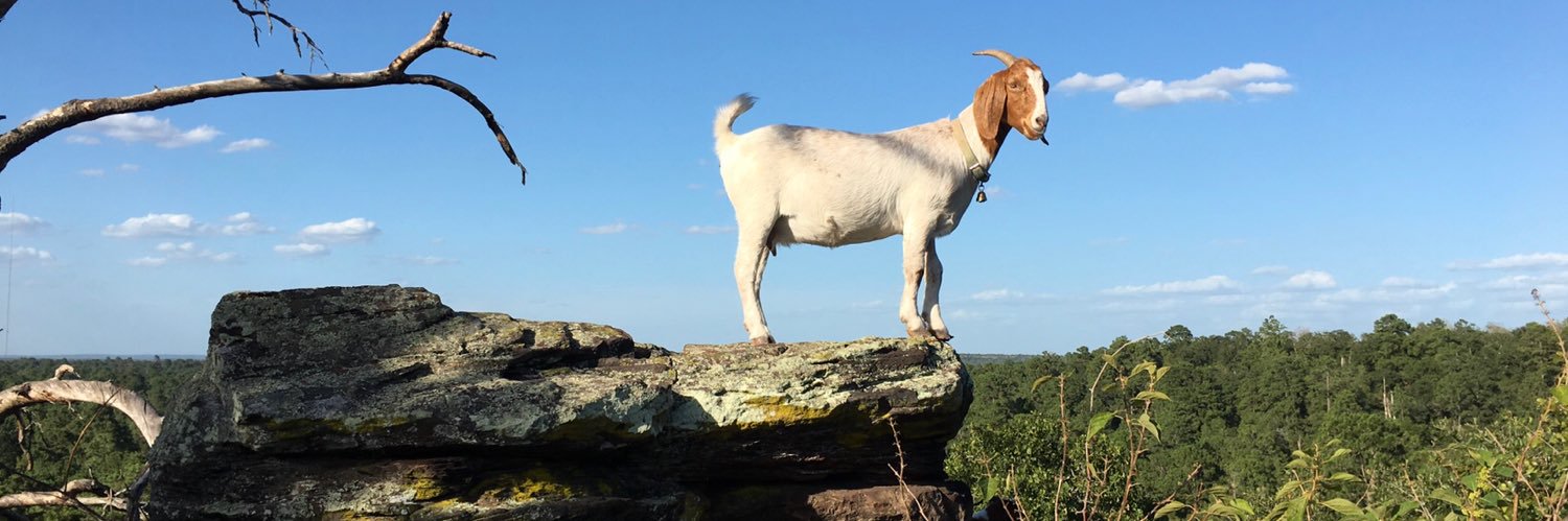 joe_dickson's profile banner image