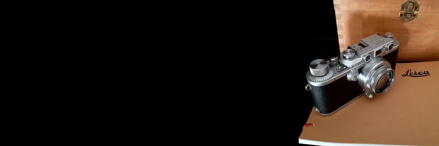 César HZ banner