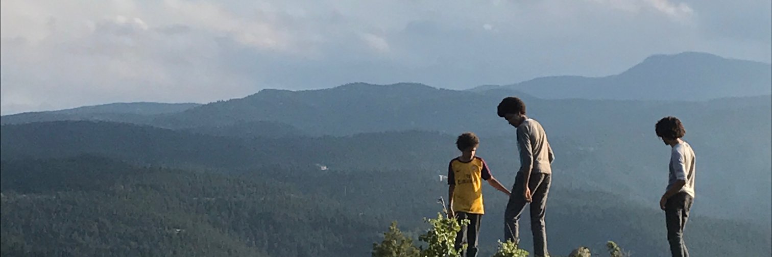 bergatron's profile banner image