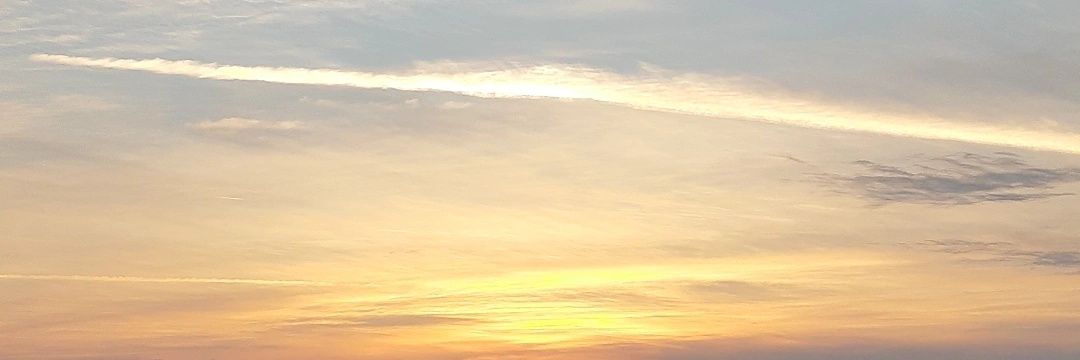 Steven Roberts banner