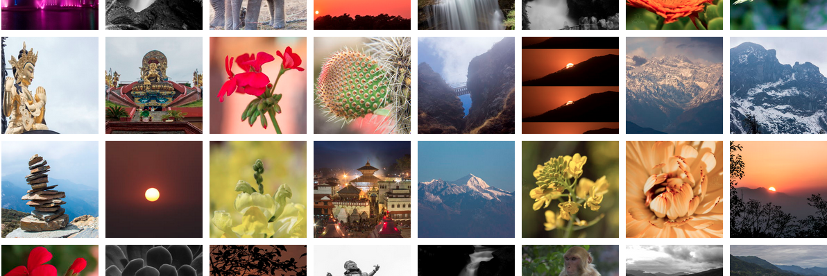 mycoolclicks's profile banner image