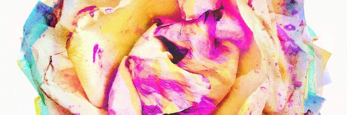 livermor's profile banner image