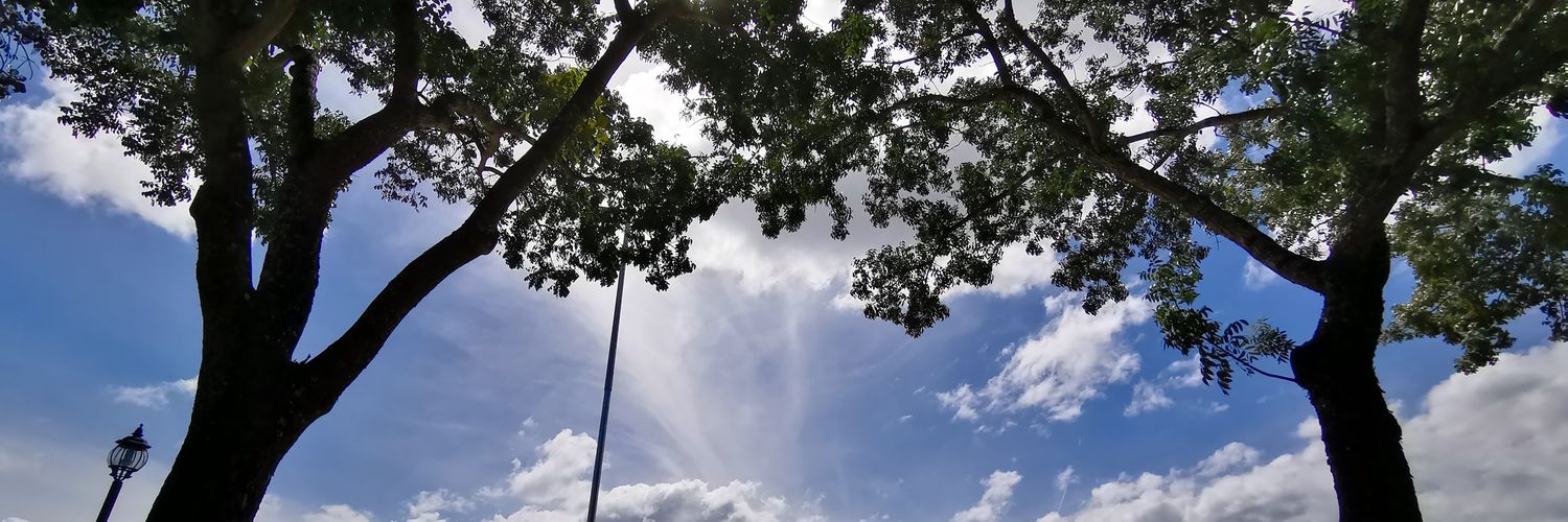 imevelee's profile banner image