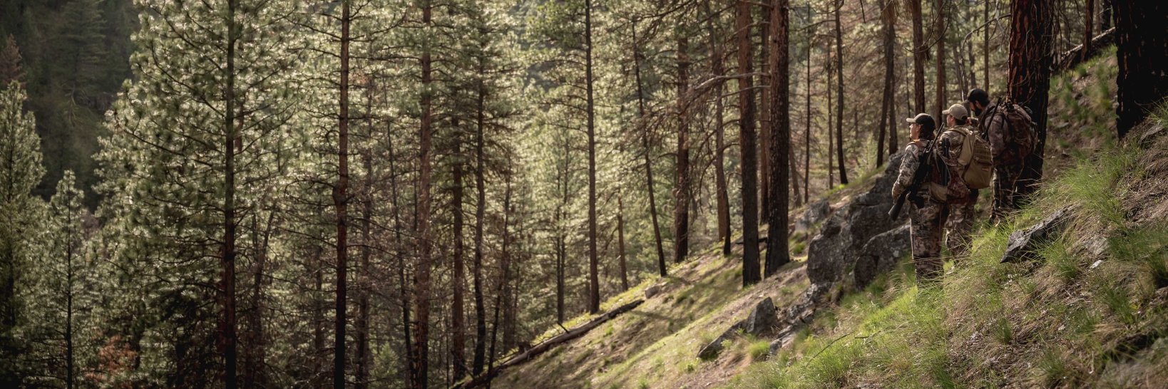 Tweed_Media's profile banner image