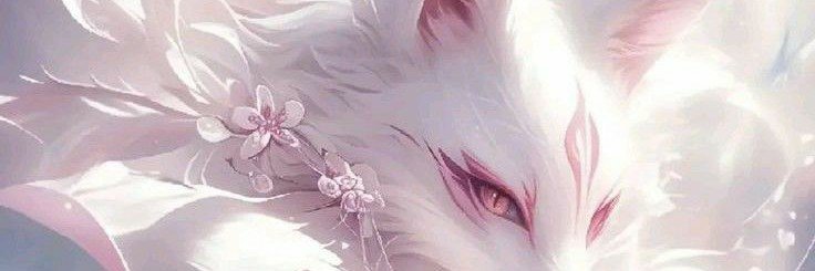 SierraSwartz7's profile banner image