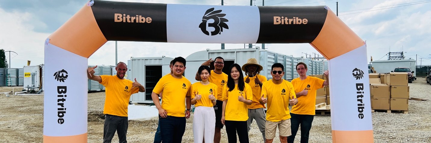 BitTribe's profile banner image