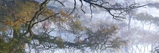 aysound's profile banner image