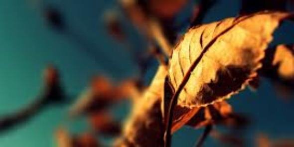 nitesh_ch's profile banner image