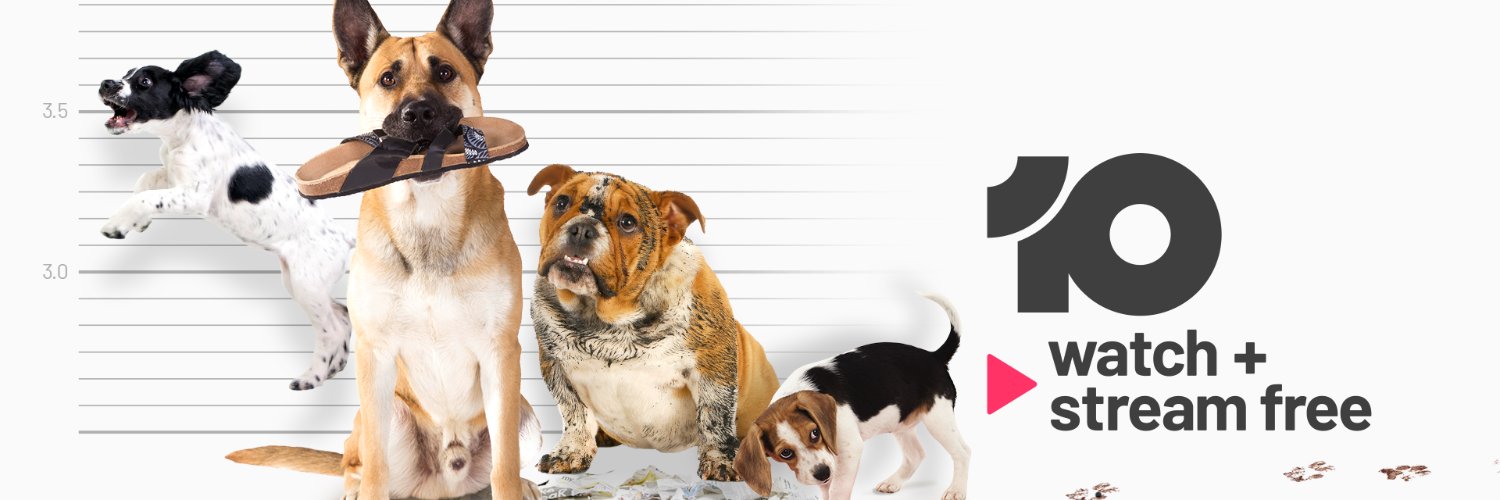 DogsBehavingAU's profile banner image