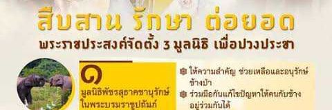 prasitpunbua's profile banner image