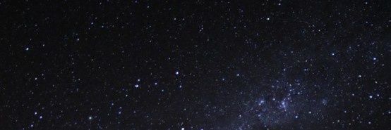 홍월 홍보봇 banner