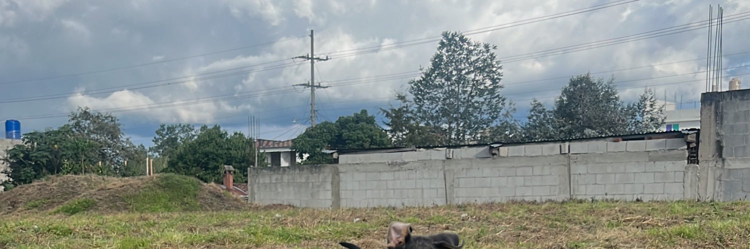 mxrgancin's profile banner image