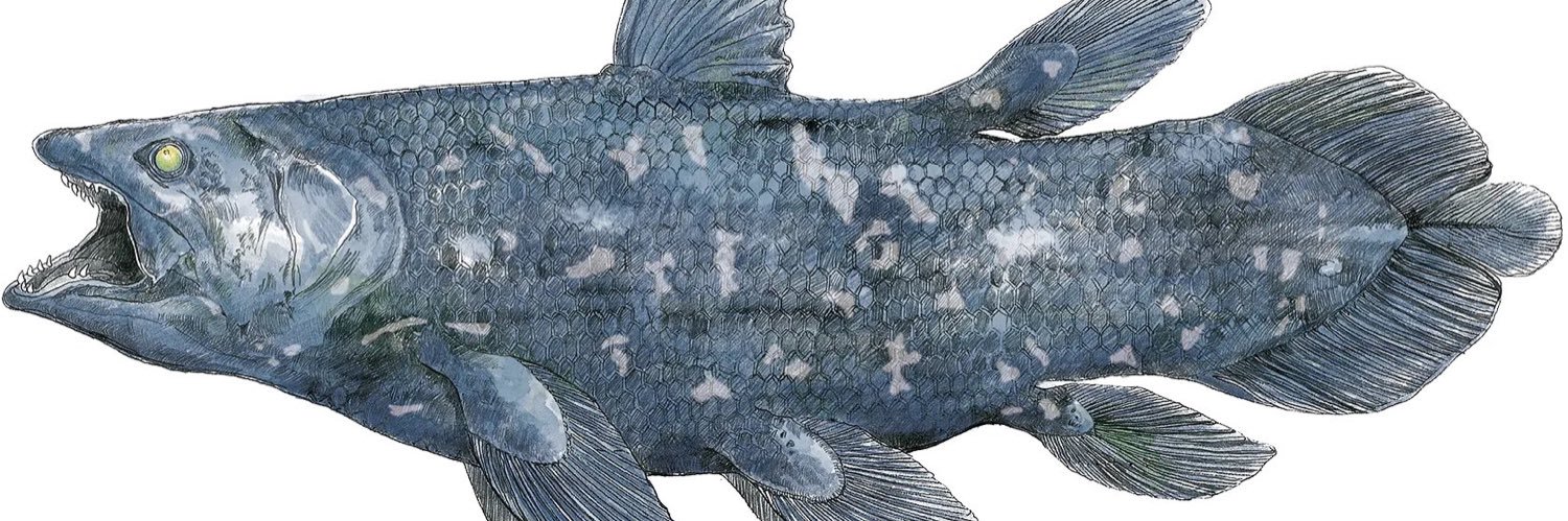 Coelacanth_716's profile banner image