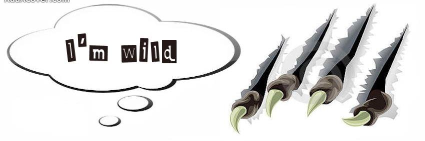 WildKidz_Unltd's profile banner image