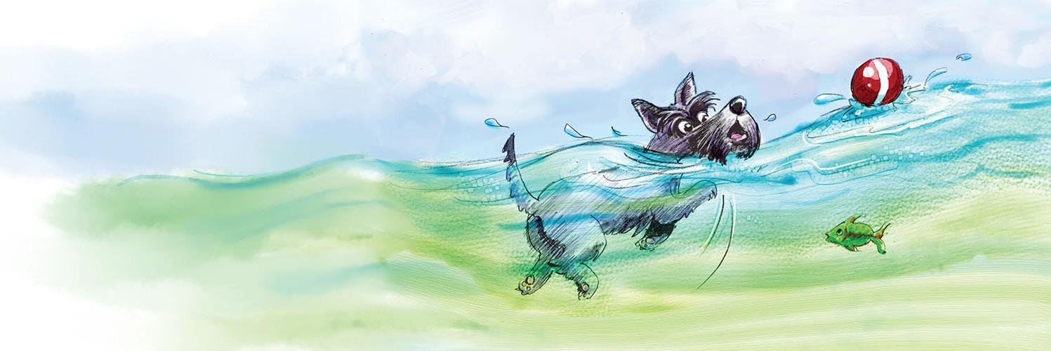 DayneSislen's profile banner image