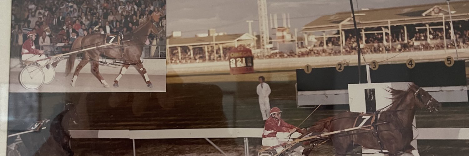 Peter Cakebread banner