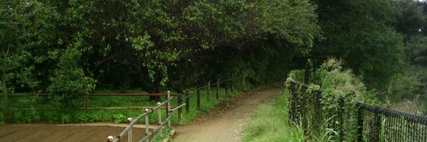 tigiri_mita Profile Banner