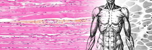 PhyMedExp Profile Banner