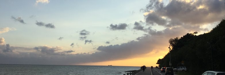 オガワナリ banner