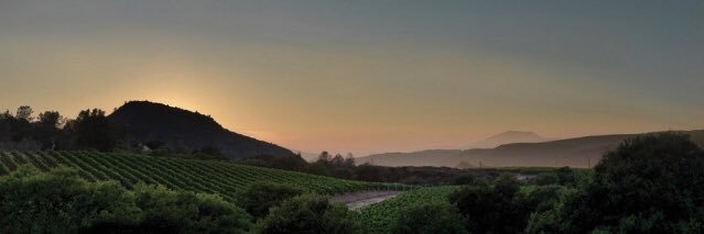 thewinerygroup's profile banner image