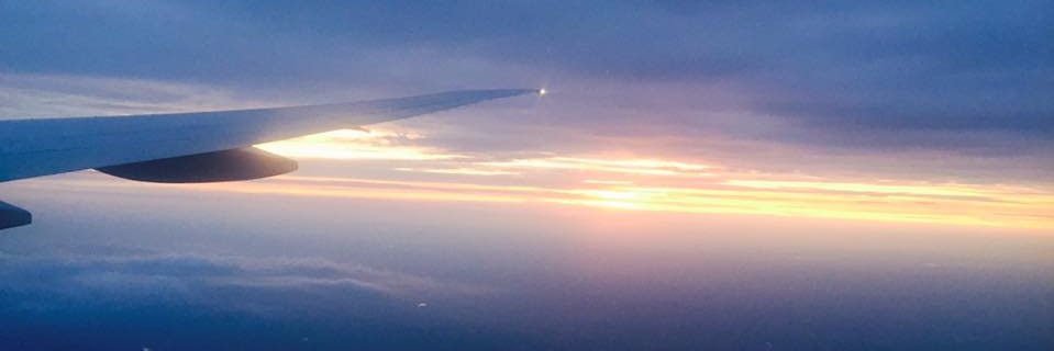 MGeertsemaSligh's profile banner image