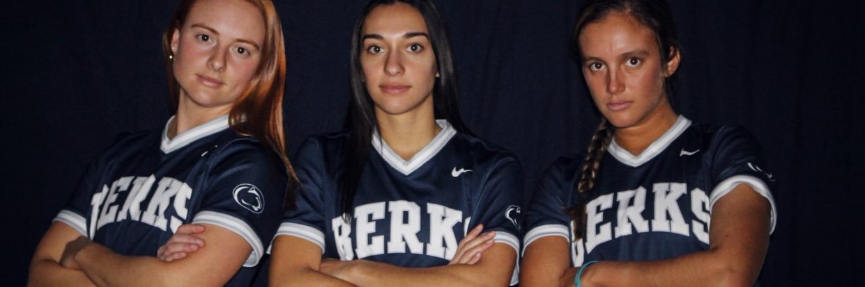 VLMaryanski's profile banner image