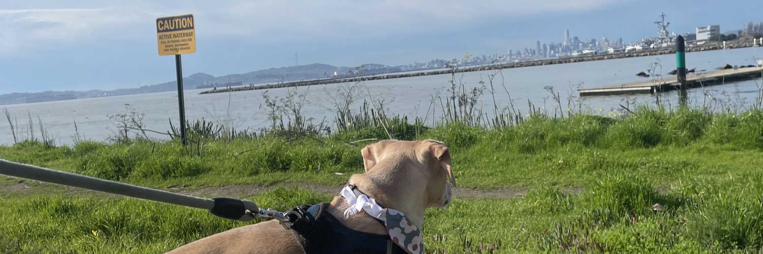 TrapSole1's profile banner image