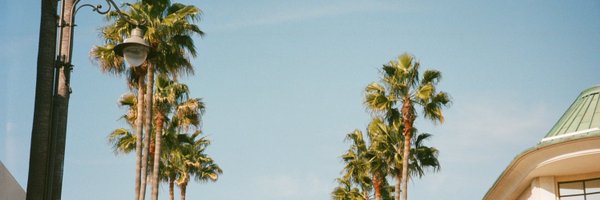 bribrisimps Profile Banner