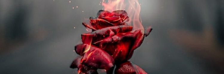 أبـــو عـــز banner