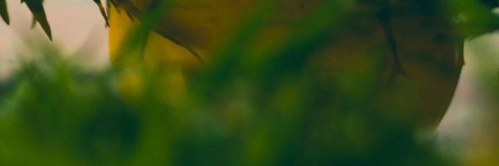 kinembez1's profile banner image