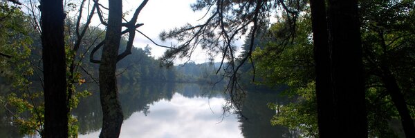 cthaus Profile Banner