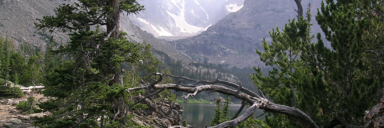 crbickhaus's profile banner image
